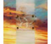 Susan Aurand-From Above